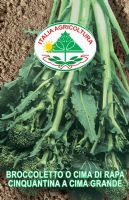 Broccoletto o cima di rapa cinquantina cima grande